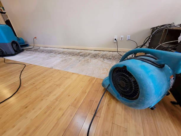 Professional Flood Damage Cleanup technician working in Colcord, WV